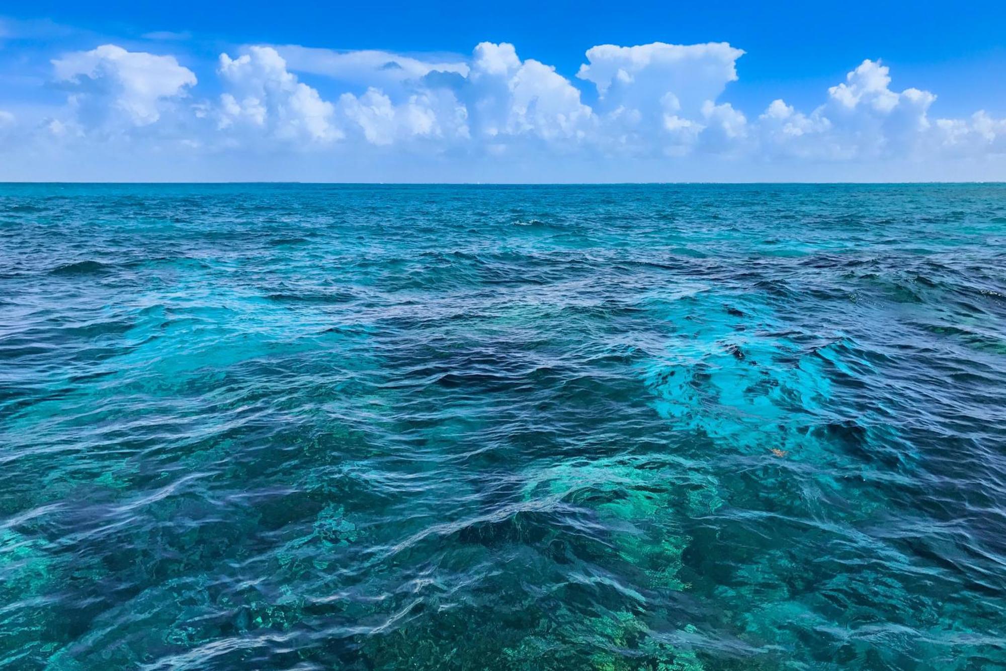 Sunrise Suites Barbados Suite #204 Key West Luaran gambar